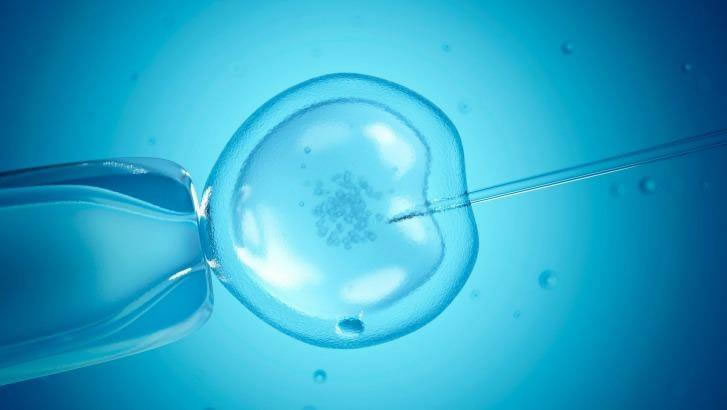 新加坡为老年妇女实施和补贴新的基于人工智能的体外受精胚胎筛查技术