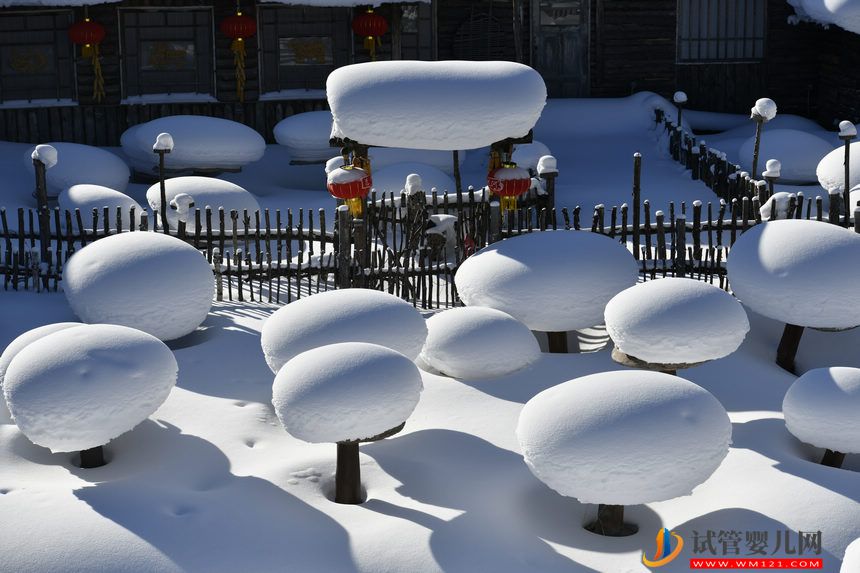 “雪”迎八方客 中国雪乡景区正式开园(图4)