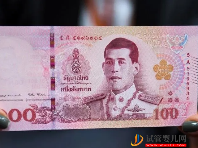 泰国三代试管10至12万元