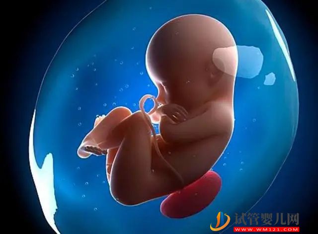 胎儿在子宫内踢腿谜团解开