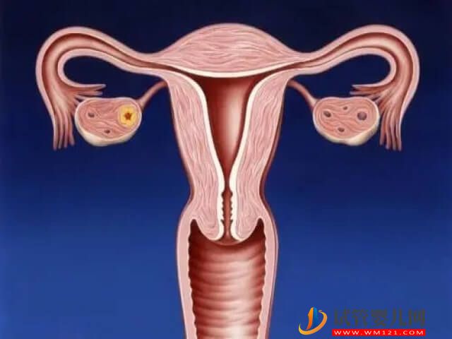 子宫内膜容受性影响南通试管移植成功率