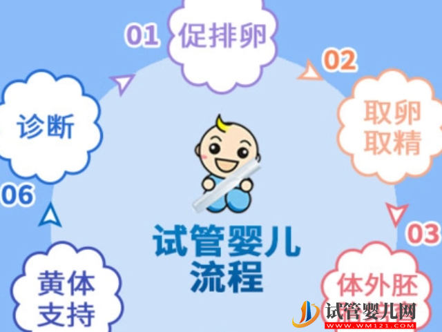 郑州供精试管婴儿流程图