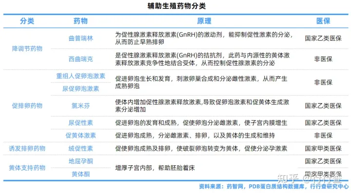 中国辅助生殖行业研究报告(图4)