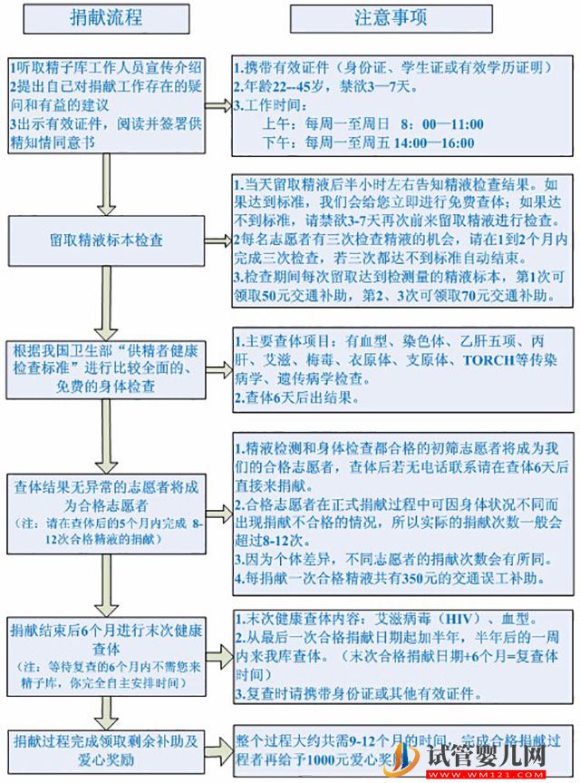 山东精子库捐精流程