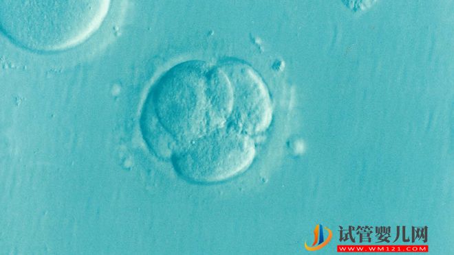 胚胎喜欢什么样的子宫内膜？(图3)