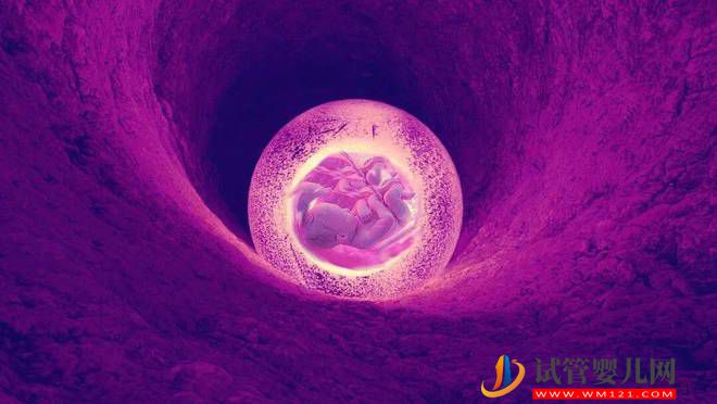 胚胎喜欢什么样的子宫内膜？(图1)