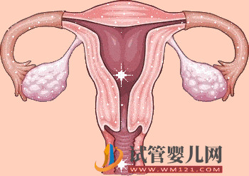 胚胎喜欢什么样的子宫内膜？(图5)