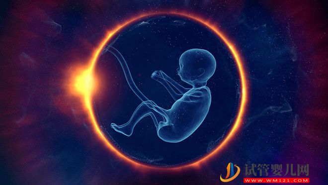 胚胎喜欢什么样的子宫内膜？(图6)