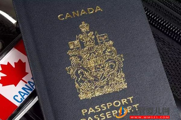 加拿大生子包括签证费用