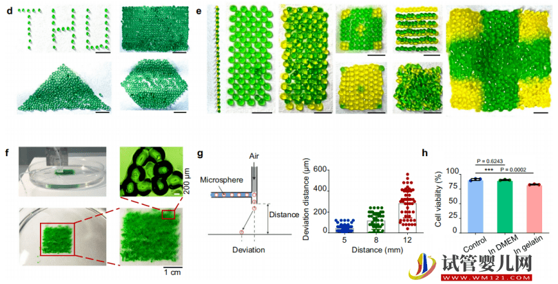 清华开发高通量干细胞微球3D打印机，并揭示干细胞的再生修复机制(图2)