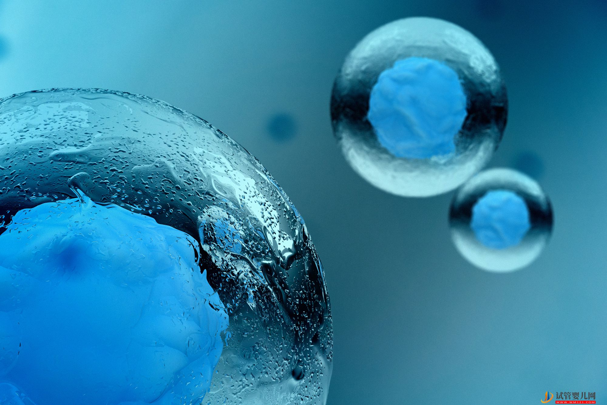 生命“起源”之干细胞，直击疑难杂病(图1)