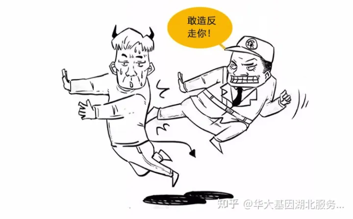 什么是干细胞？一文让你读懂！(图16)