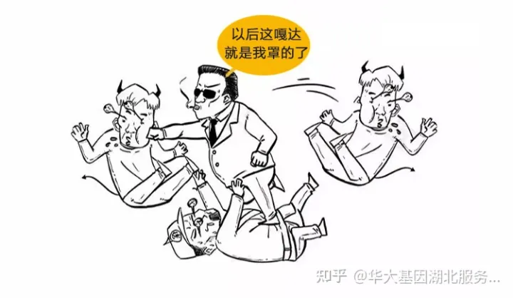 什么是干细胞？一文让你读懂！(图19)