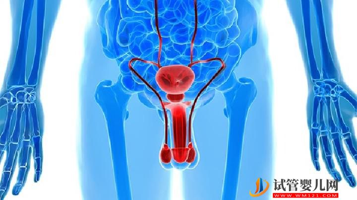 男性不育的病因复杂？男性不育大多与这4大因素有关