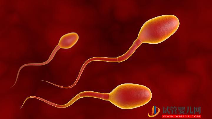 男性不育的原因可总结警惕生活中有这6大精子杀手