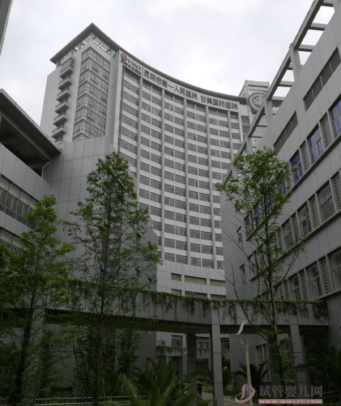 甘美国际医院