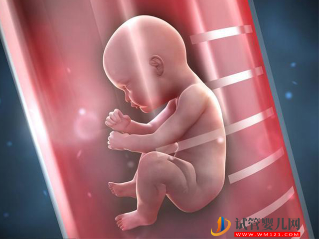 试管婴儿可以选择健康的胚胎