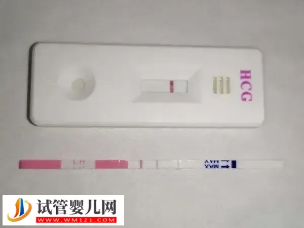 hcg即人绒毛膜促性腺激素