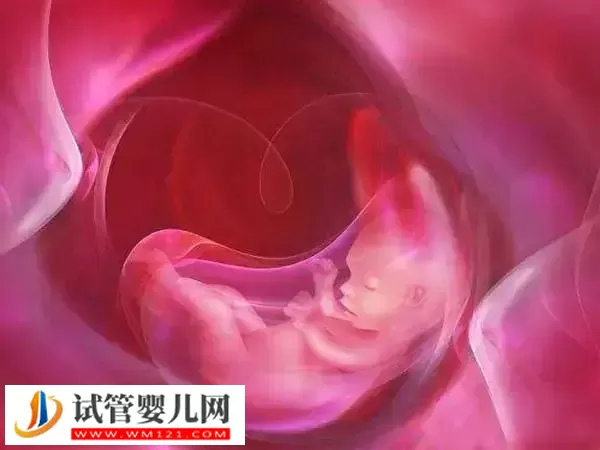 胚胎着床后要注意按时产检