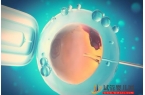 广州胚胎最长可以冷冻多久？